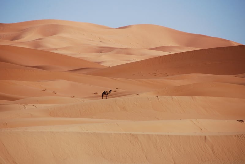 Desert Dunes in Morocco